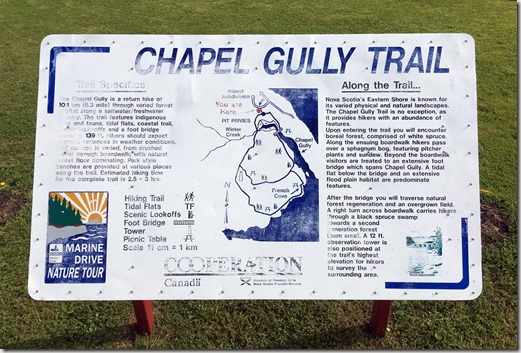 Chapel Gully Trail